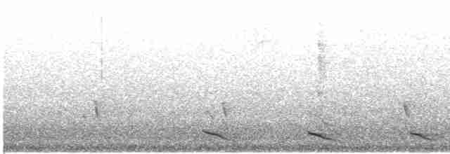 Trogon montagnard - ML619320404