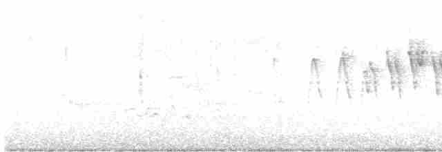 Paruline à calotte noire - ML619320442