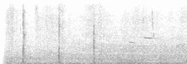 גיבתונית חומת-זנב - ML619320773