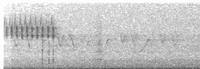 vlhovec červenokřídlý - ML619320799