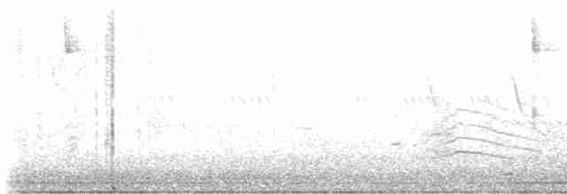 Пересмішник сірий - ML619320836