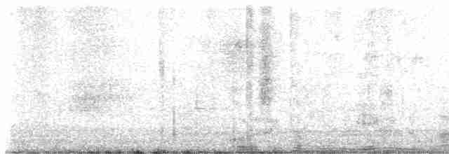 Bicknell Bülbül Ardıcı - ML619321103