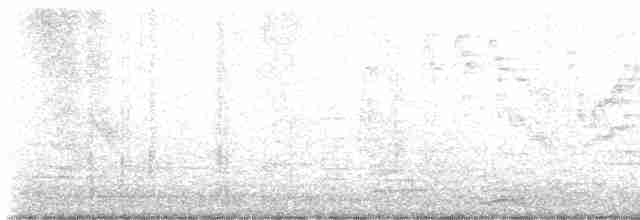 Bicknell Bülbül Ardıcı - ML619321104