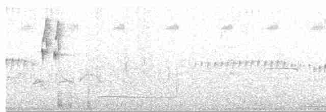 Лінивка-жовтоок двосмуга - ML619321439