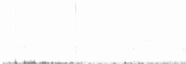 Little Ringed Plover - ML619321515