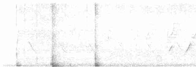 svarthodelarveeter - ML619321613
