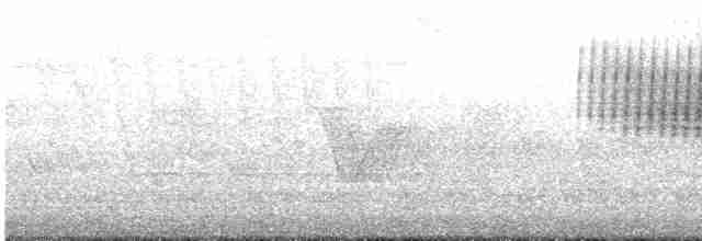 Малая воробьиная овсянка - ML619321653
