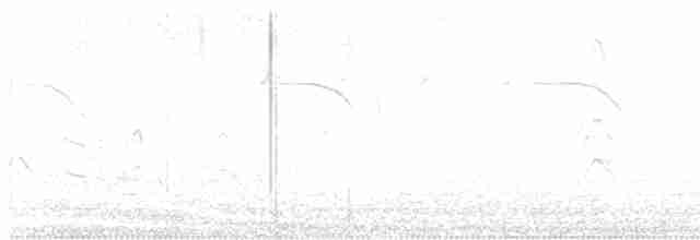 Lavandera India - ML619321754