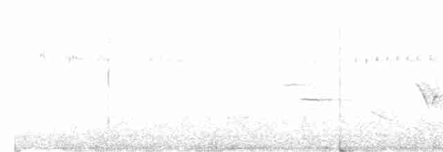 Пестрогрудая овсянка [группа schistacea] - ML619322617