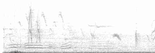 Cerulean Warbler - ML619322698