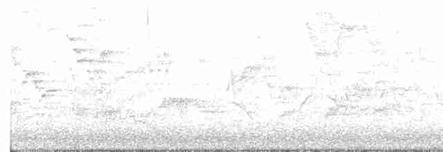 Bicknell Bülbül Ardıcı - ML619324730