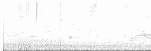 Пестрогорлый соловьиный дрозд - ML619324731