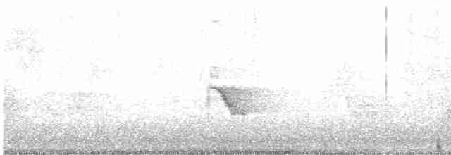 Пестрогорлый соловьиный дрозд - ML619324757