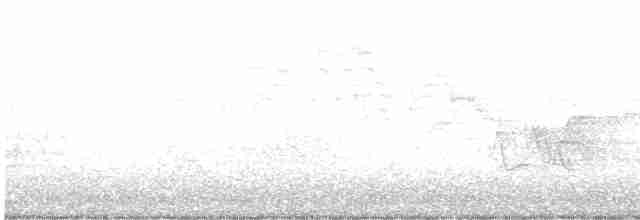 Пестрогорлый соловьиный дрозд - ML619324773