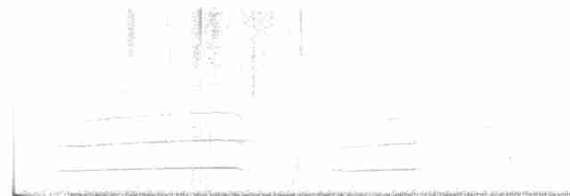 hvithodehavørn - ML619324924