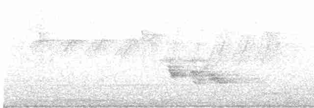 Al Kulaklı Arapbülbülü - ML619325354
