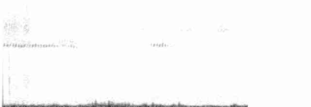 Широкохвостый колибри - ML619325566