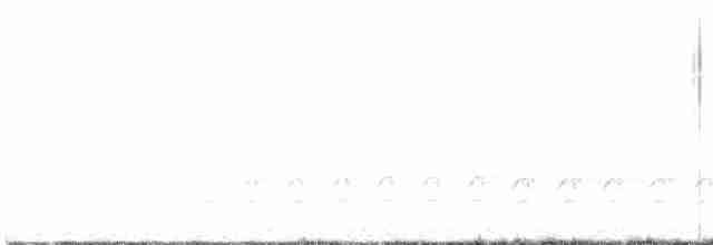 Weißbrustkleiber - ML619325688