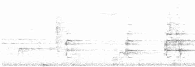 tøylesolitærtrost - ML619325820