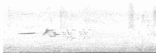 Münzevi Bülbül Ardıcı - ML619325835