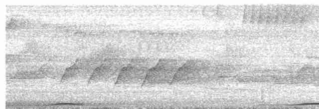 holub černošíjný - ML619325929