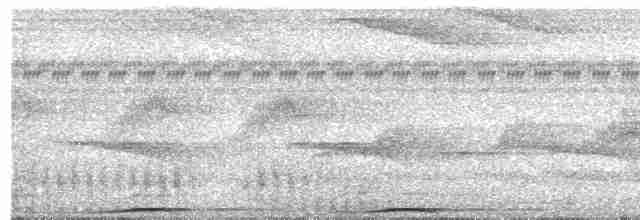 Ptilope turgris - ML619325930