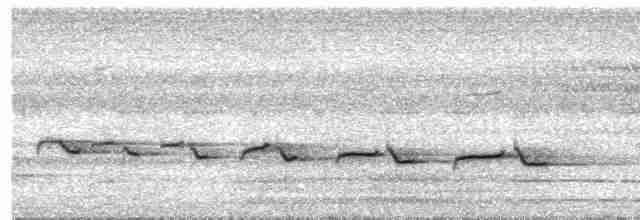 Ak Kulaklı Terzikuşu - ML619325965