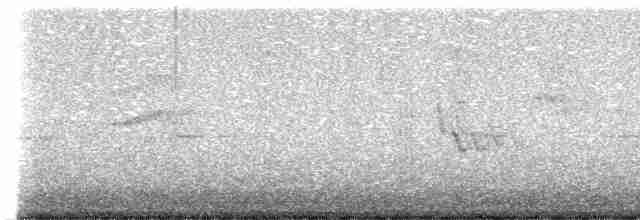 Окулярник сивоспинний - ML619326196