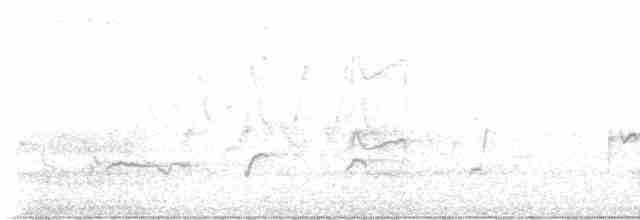 Sarı Karınlı Boreal Sinekkapan - ML619326308