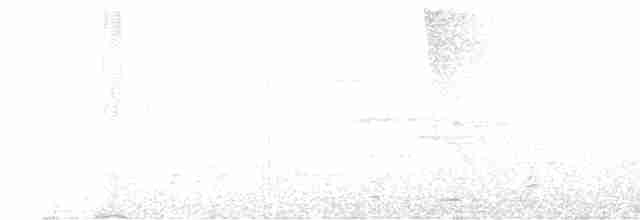 Черногорлая хвойница - ML619326582