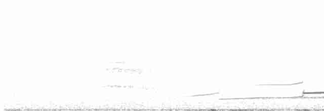Гагара полярна - ML619326834