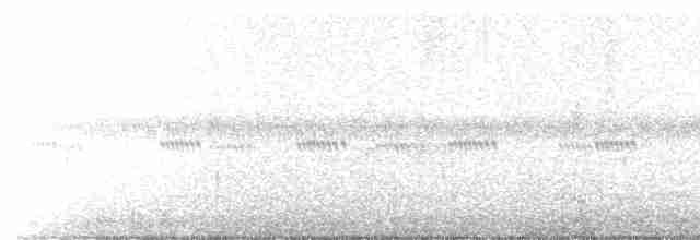 Çizgili Kulaklı Baykuş - ML619326908