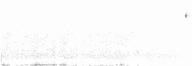 Bruant sauterelle - ML619327993