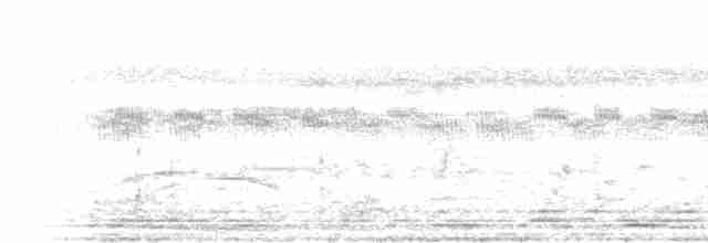 Kabarık Gerdanlı Ardıçesmeri - ML619329008