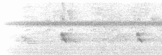 Büyük Mor Kırlangıç - ML619330112
