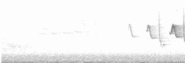 Червоїд сіроголовий - ML619330374