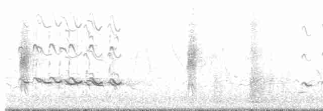Kuliska hankahori handia - ML619330401