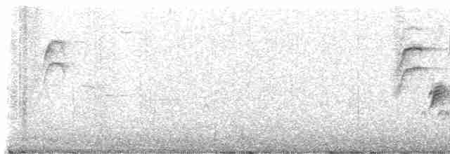 Длиннохвостый крапивник - ML619330502