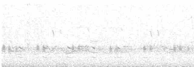 vlhovec červenokřídlý - ML619330523