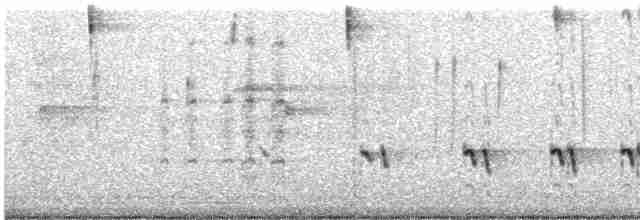 Chaparralgrasmücke - ML619330777