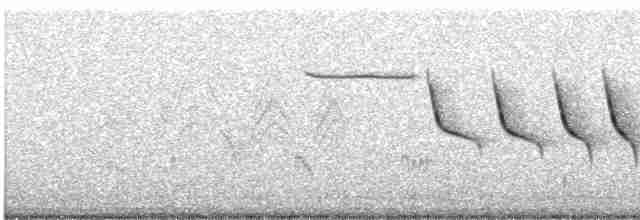 Карнатка чорногорла - ML619330800