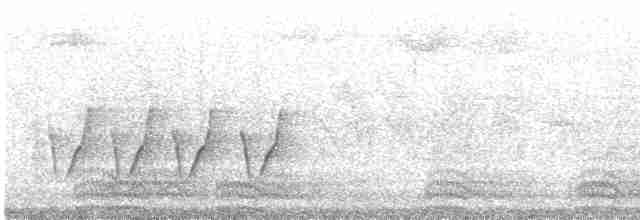 Cuervo Grande - ML619330815