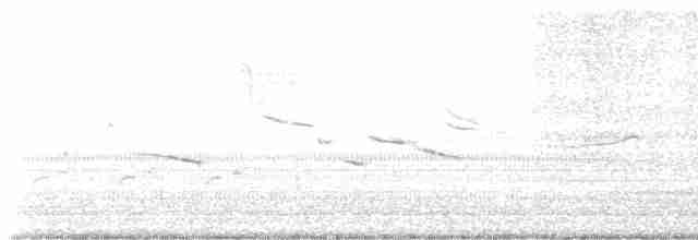 Eastern Meadowlark - ML619331781
