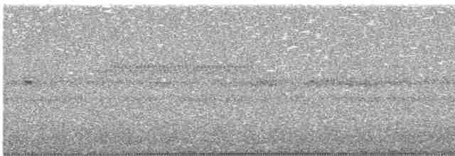 Кукушечья иглоногая сова - ML619332101