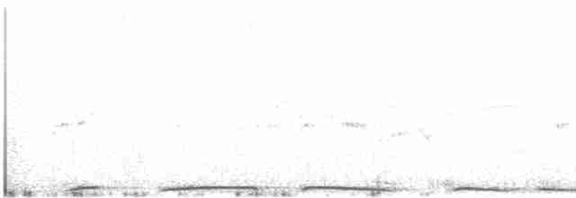 holub hřivnáč - ML619333279