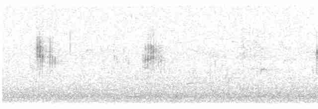 Ластівка міська (підвид urbicum/meridionale) - ML619333581