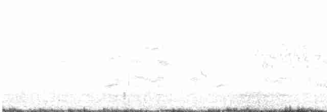 白嘴端燕鷗 - ML619333685