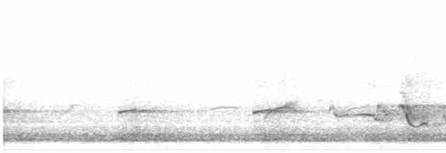 Sperlingsvogel, unbestimmt - ML619333708