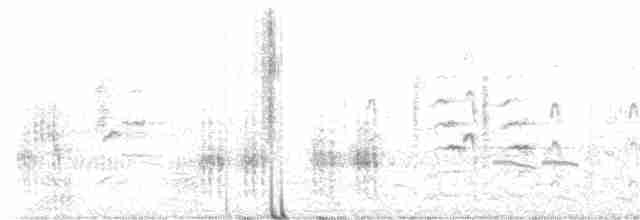 Common Tern - ML619333747