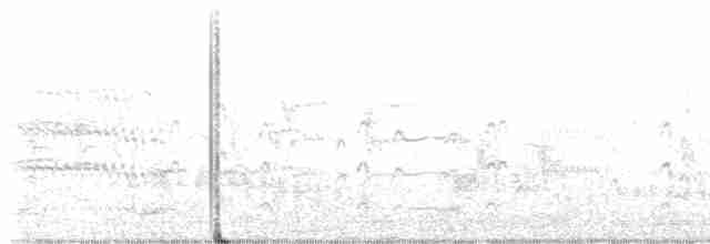 Common Tern - ML619333748